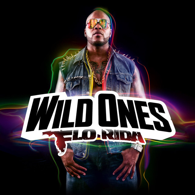 Wild Ones Flo Rida, Sia