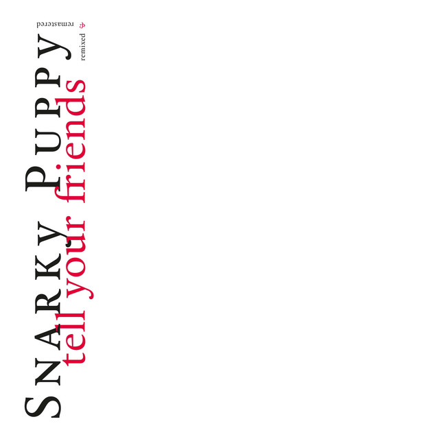 Flood Snarky Puppy