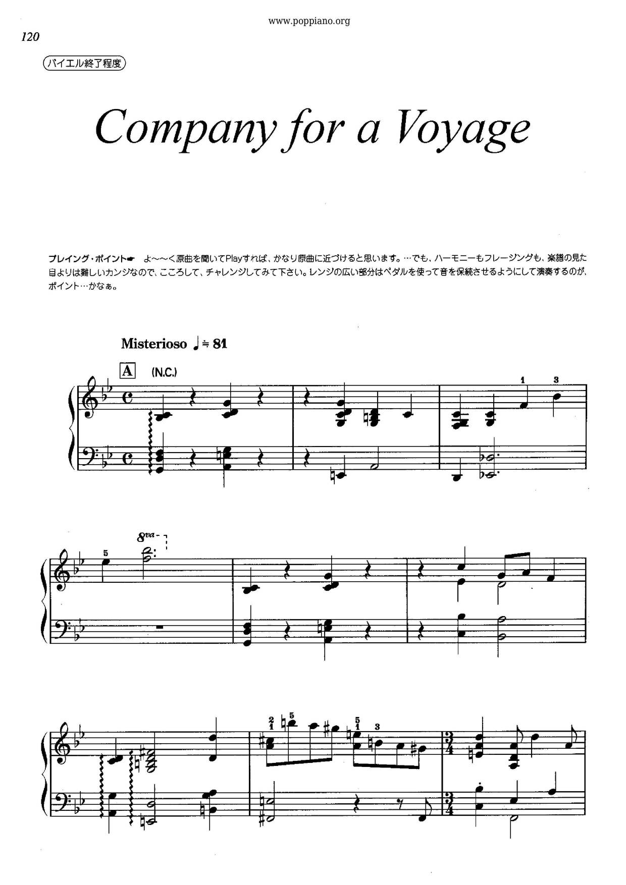 Company For A Voyage琴谱