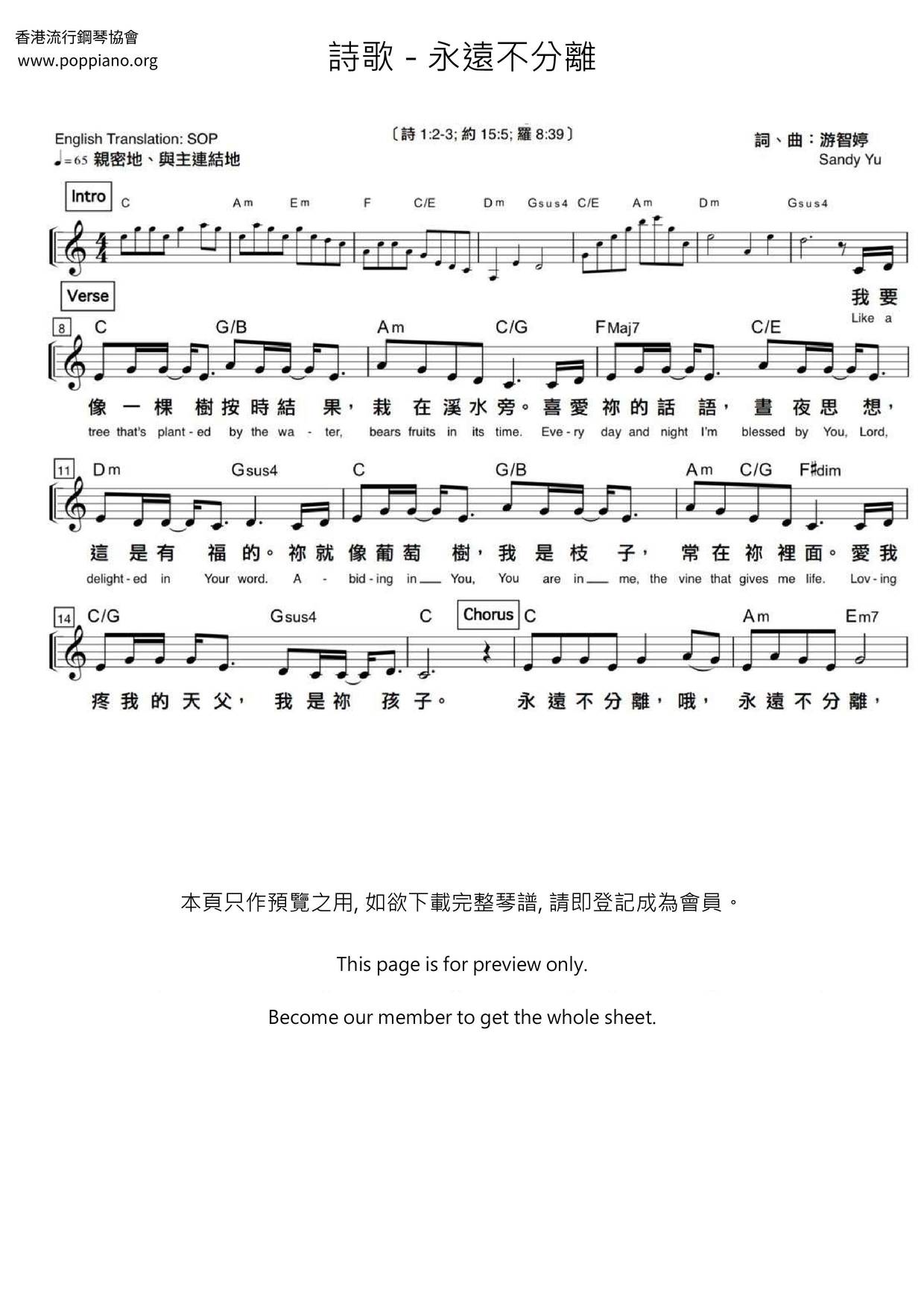 永远不分离琴谱