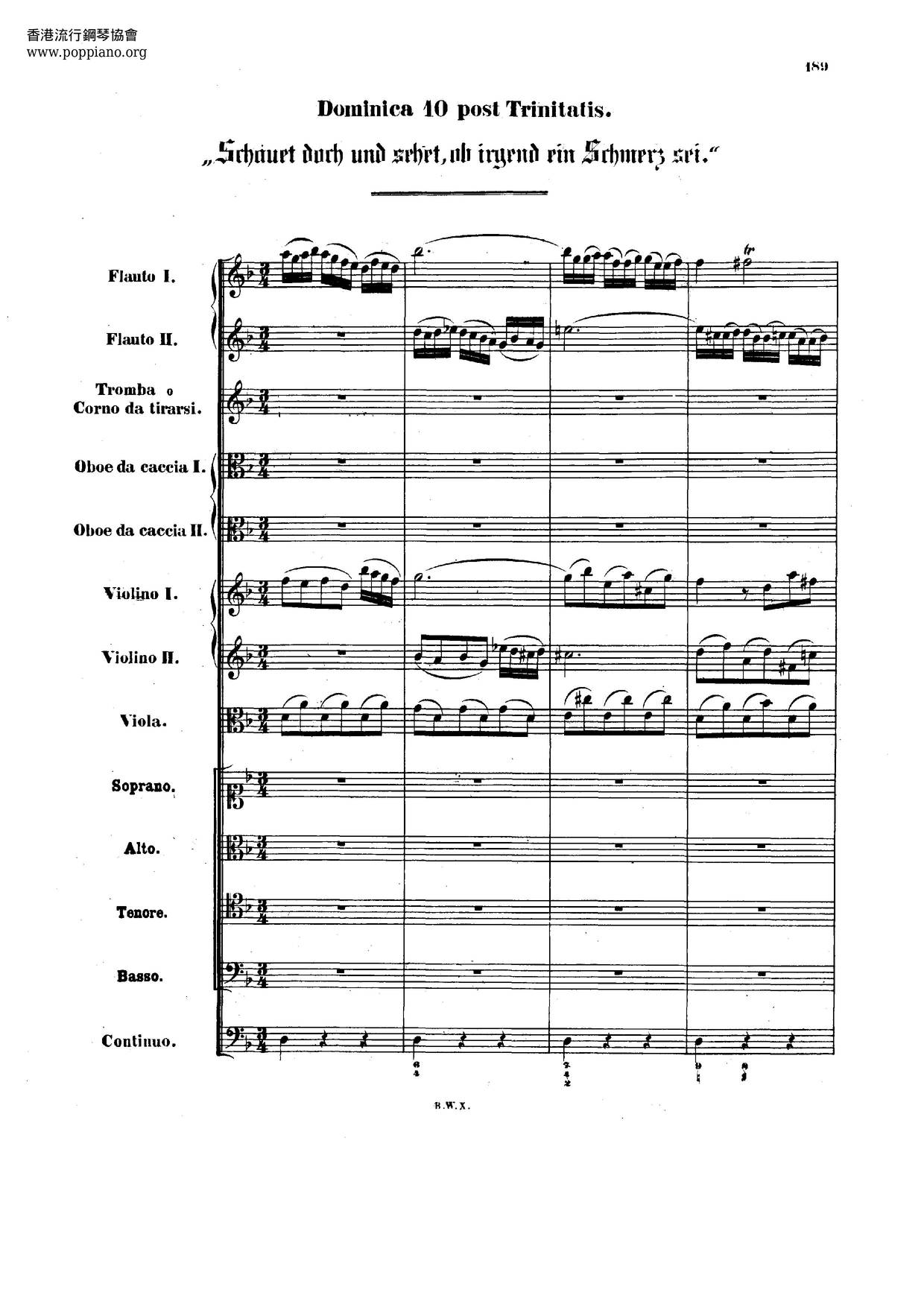 Schauet Doch Und Sehet, BWV 46 Score