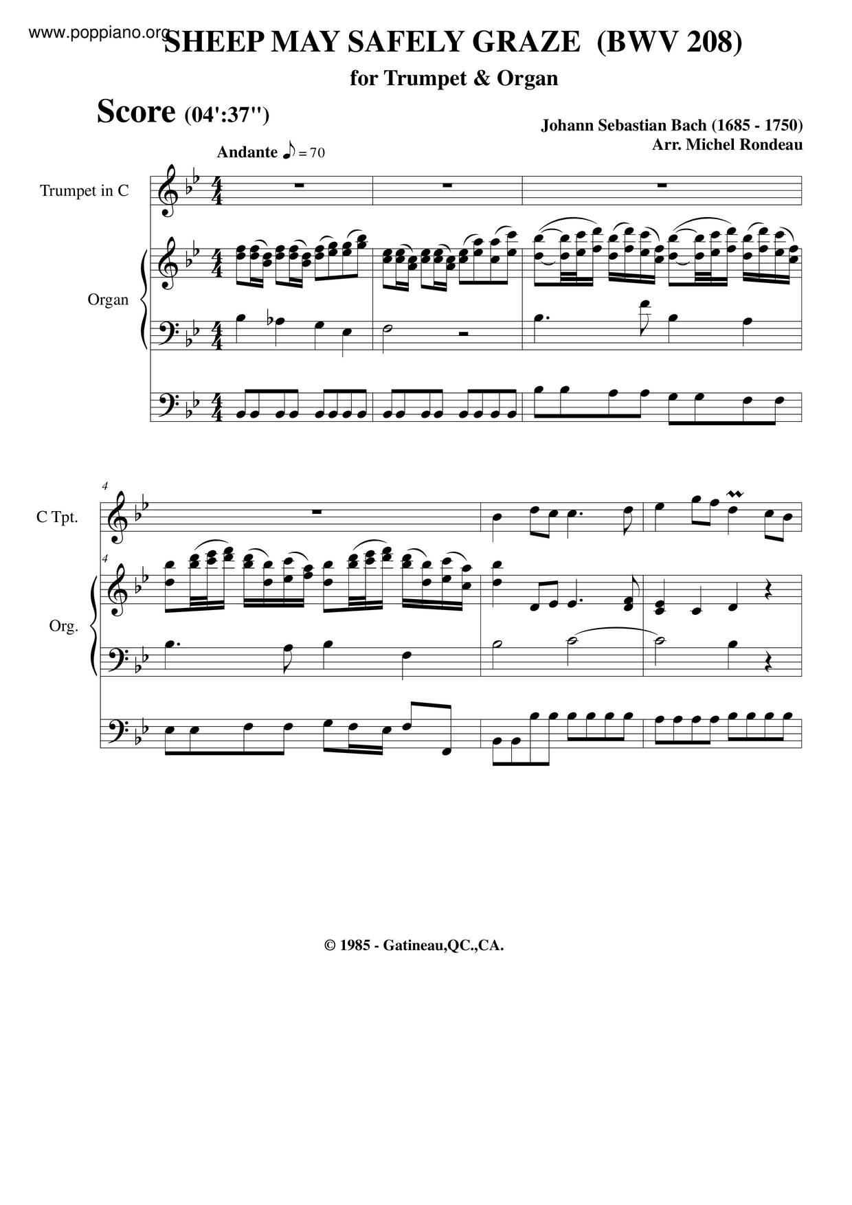 The Lively Hunt Is All My Heart's Desire, BWV 208琴谱