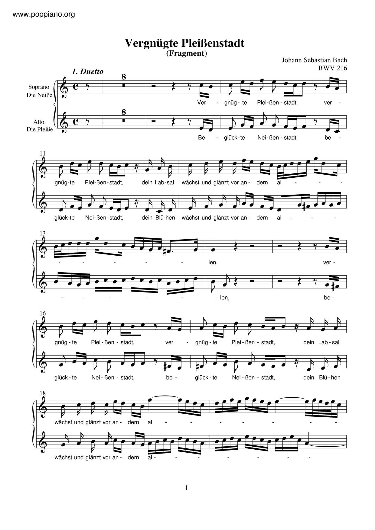 Vergnügte Pleissenstadt, BWV 216琴譜
