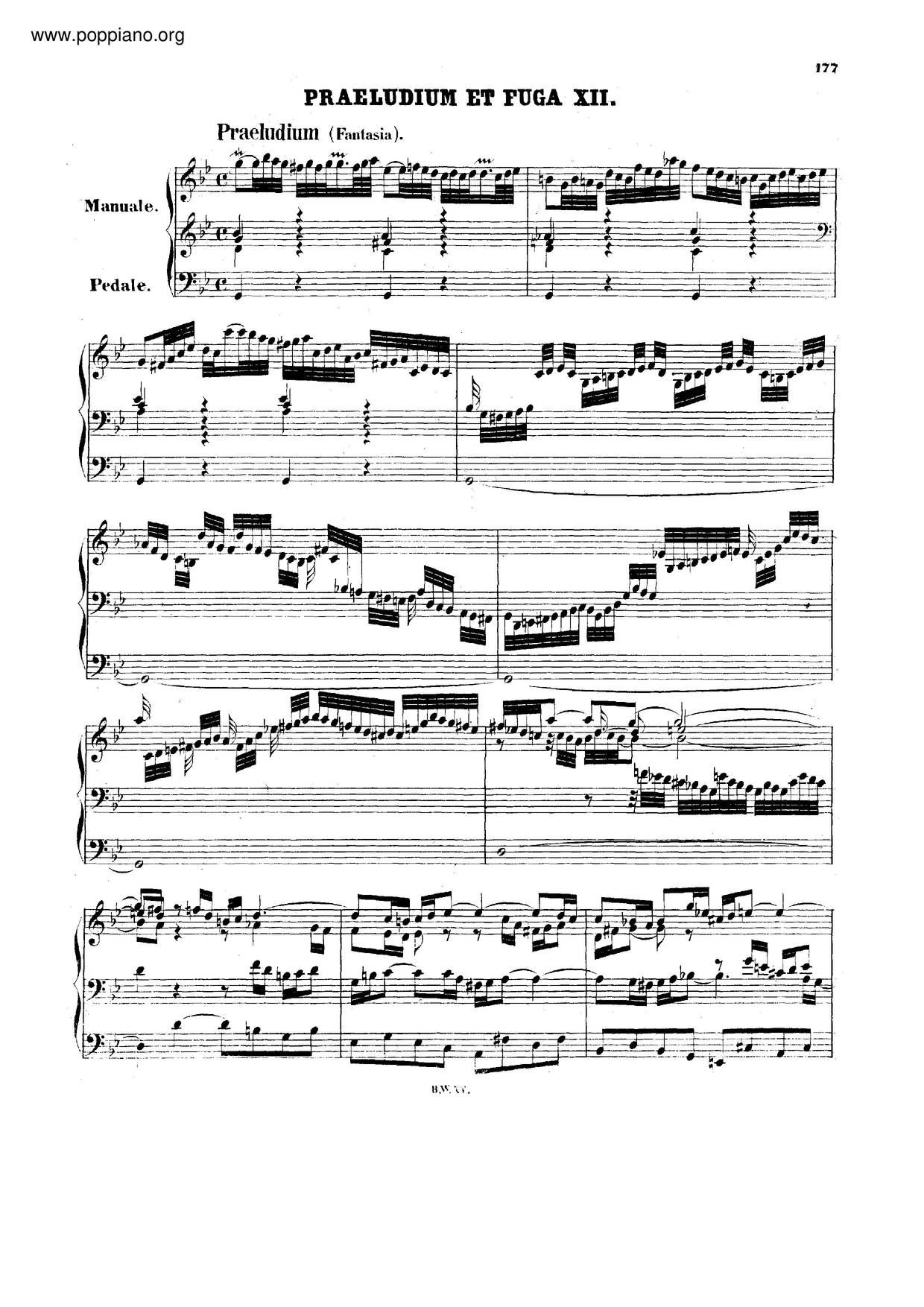 Fantasia & Fugue In G Minor, BWV 542琴谱