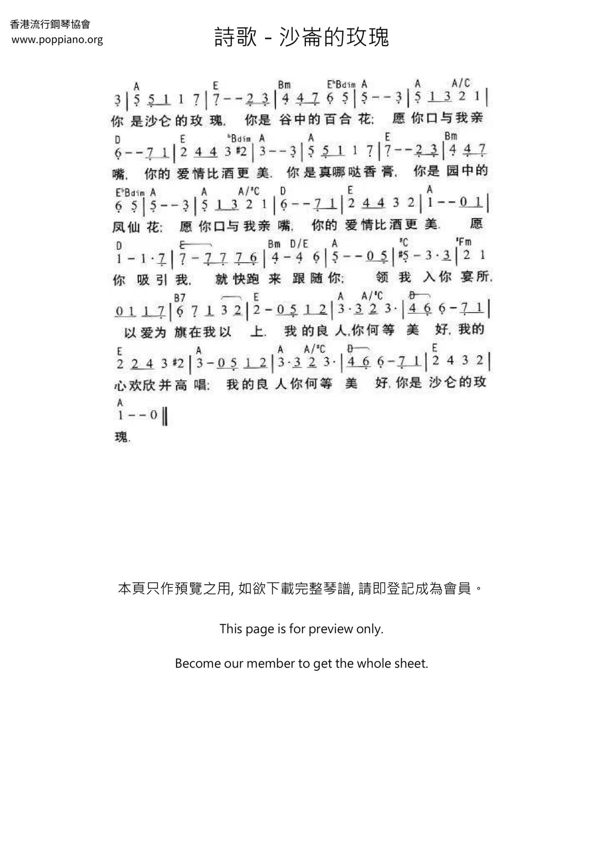 沙崙的玫瑰琴譜
