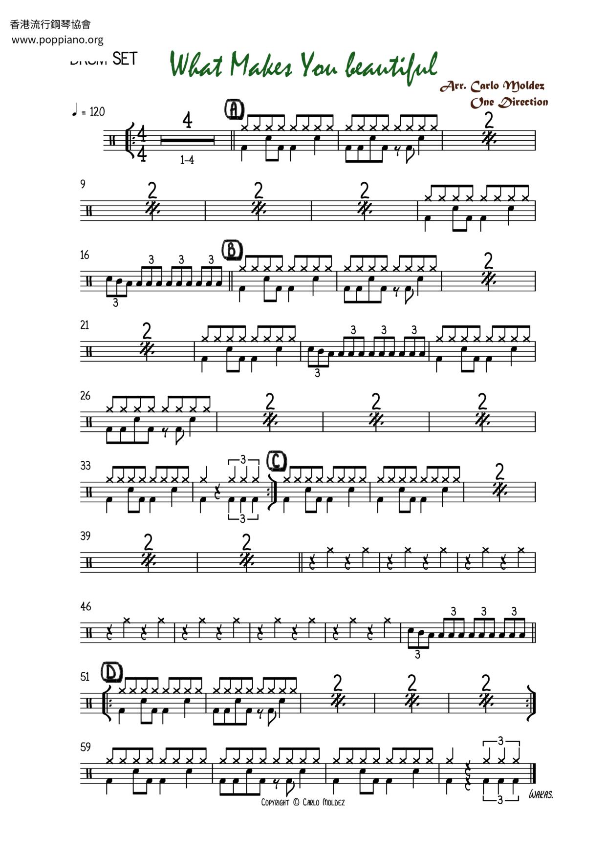One Direction What Makes You Beautiful pdf 