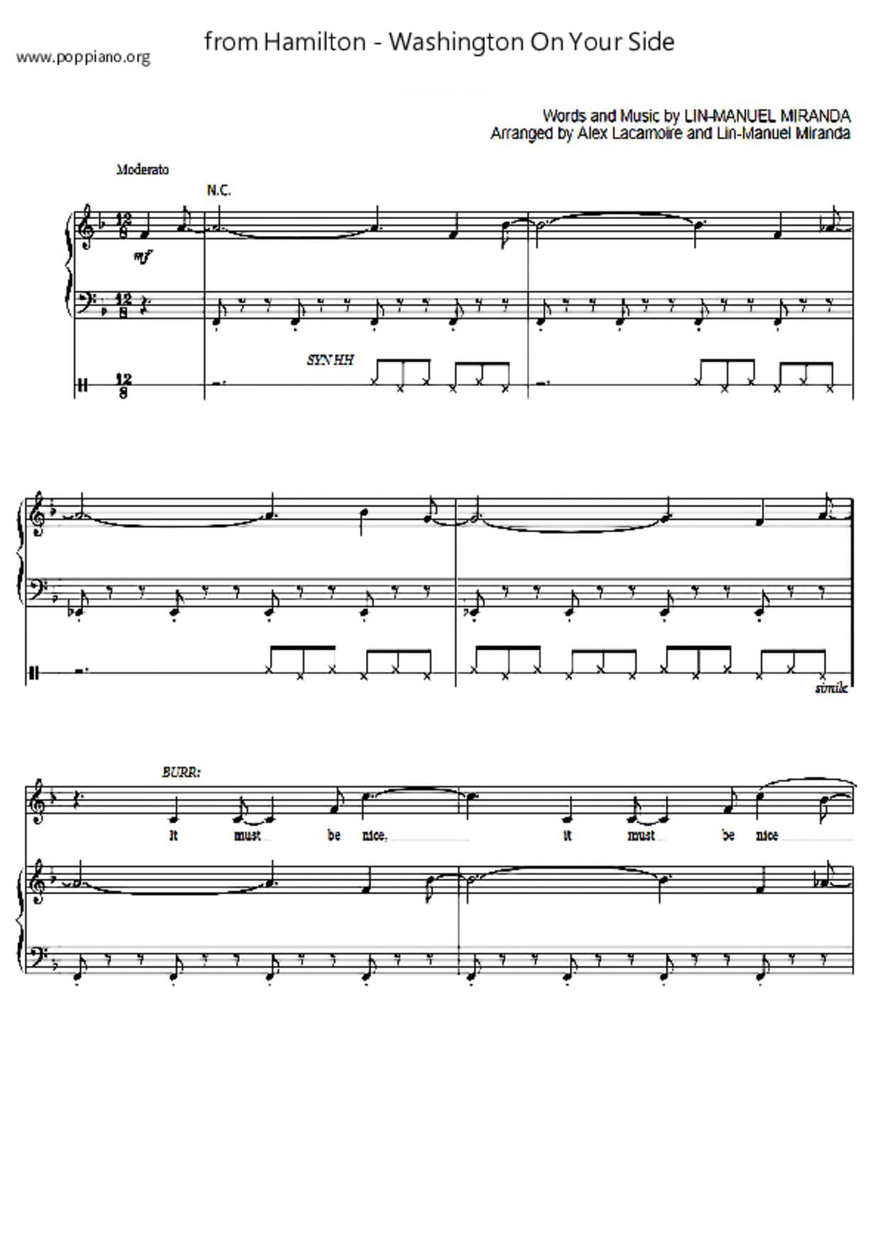 Washington On Your Side琴譜