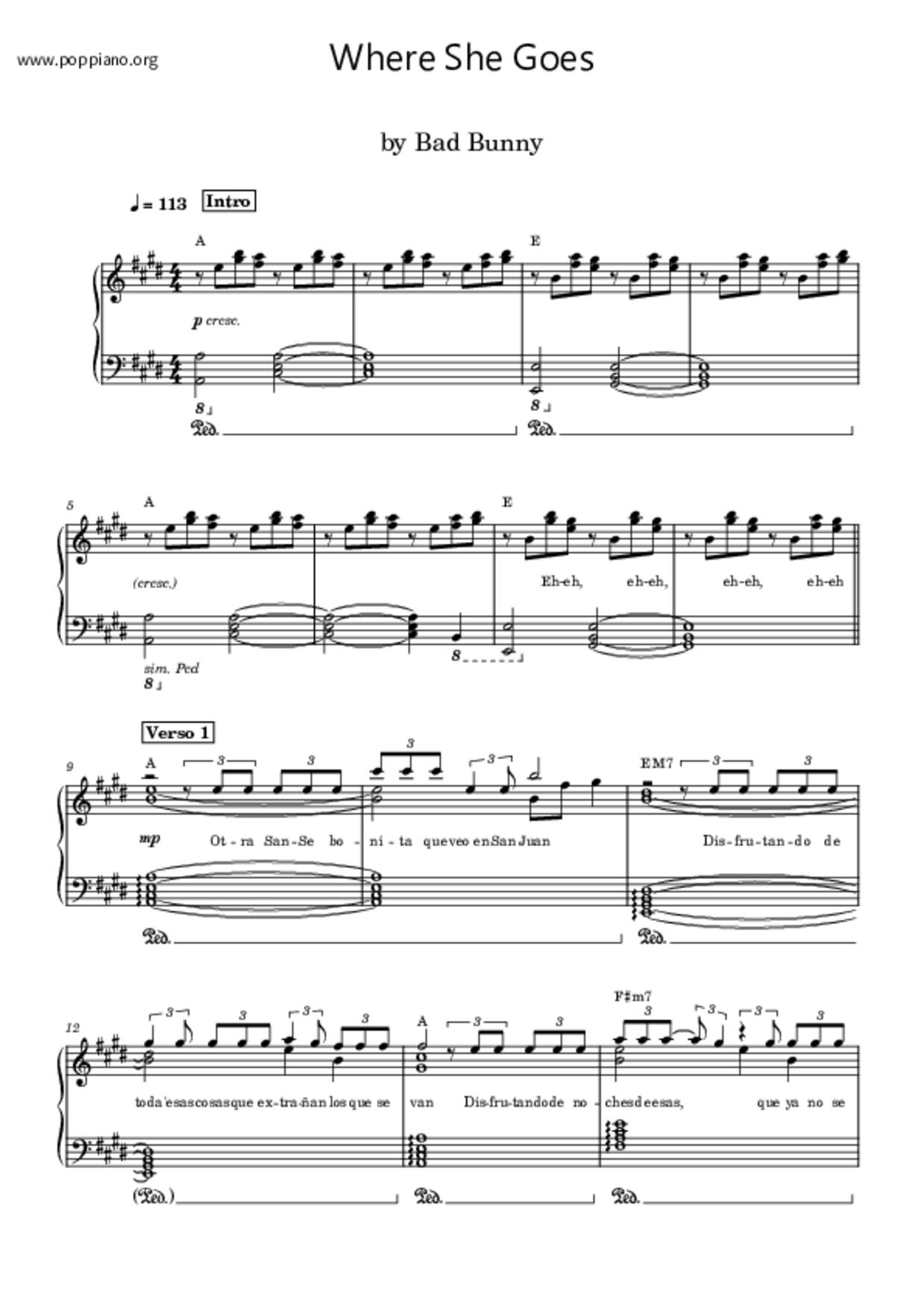 Where She Goes琴譜